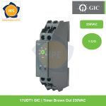 Timer Brown Out 230VAC 17UDT1 GIC