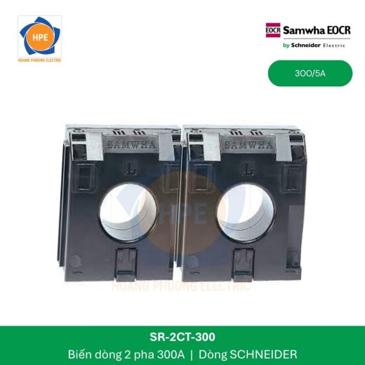 bien-dong-2-pha-300a-sr-2ct-300-schneider