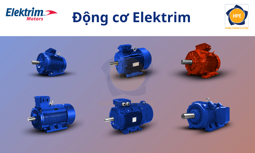 dong-co-electrim