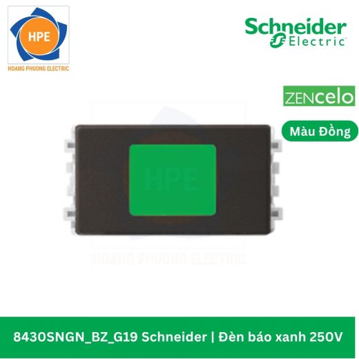 8430SNGN_BZ_G19 8430SNGN_BZ_G19