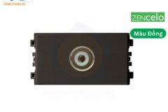 8431STV_BZ_G19