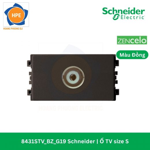 8431STV_BZ_G19
