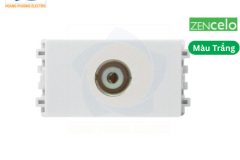 8431STV_WE_G19