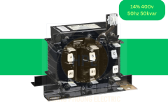 cuon-khang-lvr14500a40t-schneider-14%-400v-50hz-50kvar