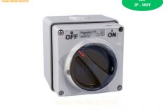 cong-tac-s56sw250gy-schneider-2p-50a-550v