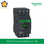 cb-bao-ve-dong-co-schneider-gv3p18