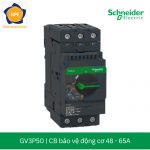 cb-bao-ve-dong-co-schneider-gv3p50