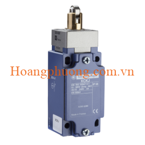 Công tắc hành trình XCKJ161 Schneider
