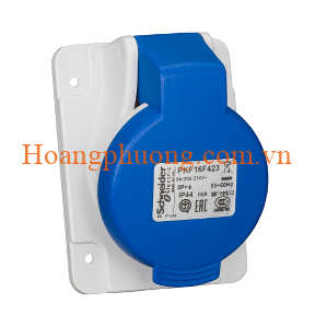 Ổ cắm gắn tủ dạng nghiêng IP44 PKF16F423 Schneider