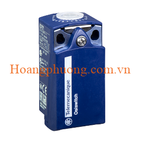 Thân công tắc hành trình ZCP21 Schneider