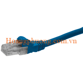 Cáp mạng UTP DC6PCURJ03BLM Schneider