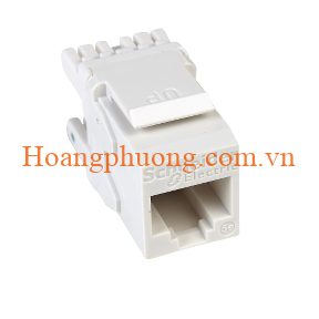 Jack mạng UTP DCEKYSTUWT Schneider
