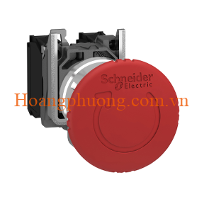 XB4BS8442