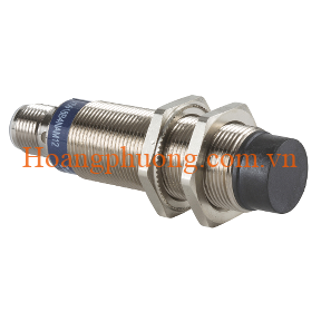 XS518BLNAM12 Schneider