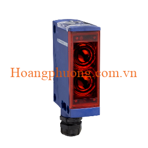 XUX9APANT16 Schneider