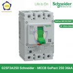 cau-dao-tu-dong-mccb-g25f3a250-schneider-25f-36ka
