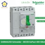 cau-dao-chinh-dong-mccb-g40n4a250-schneider-40n-50ka