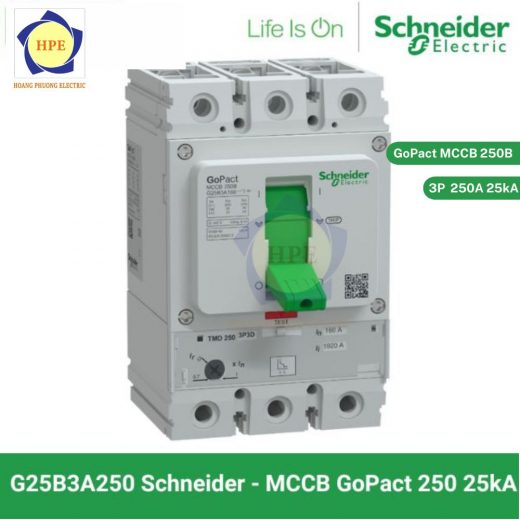 cau-dao-chinh-dong-gopact-mccb-g25b3a250-schneider-3p-250b-25ka