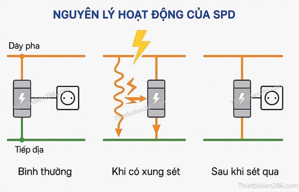 SPD (Surge Protective Device) hay còn gọi là thiết bị chống sét lan truyền, là thiết bị được lắp đặt trong hệ thống điện nhằm bảo vệ thiết bị điện khỏi các xung điện đột biến do sét đánh, chuyển mạch điện hoặc các hiện tượng quá áp tạm thời.