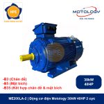 ME200LA-2 Motology - Động cơ điện 30kW 40HP 2 cực
