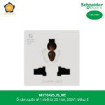 m3ts426-is-we-schneider