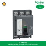 e125n320fm-schneider