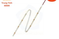 Đèn Led dây Osram - BF1200S-G4-940-24-5