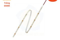 Đèn Led dây Osram - BFP1200S-G3-6500K-05