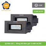_ZJ1FBA GIC Đồng hồ đếm giờ 12-48V ACDC