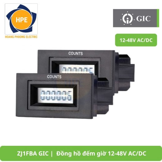 _ZJ1FBA GIC Đồng hồ đếm giờ 12-48V ACDC