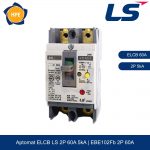 EBE102Fb 2P 60A