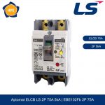 EBE102Fb 2P 75A